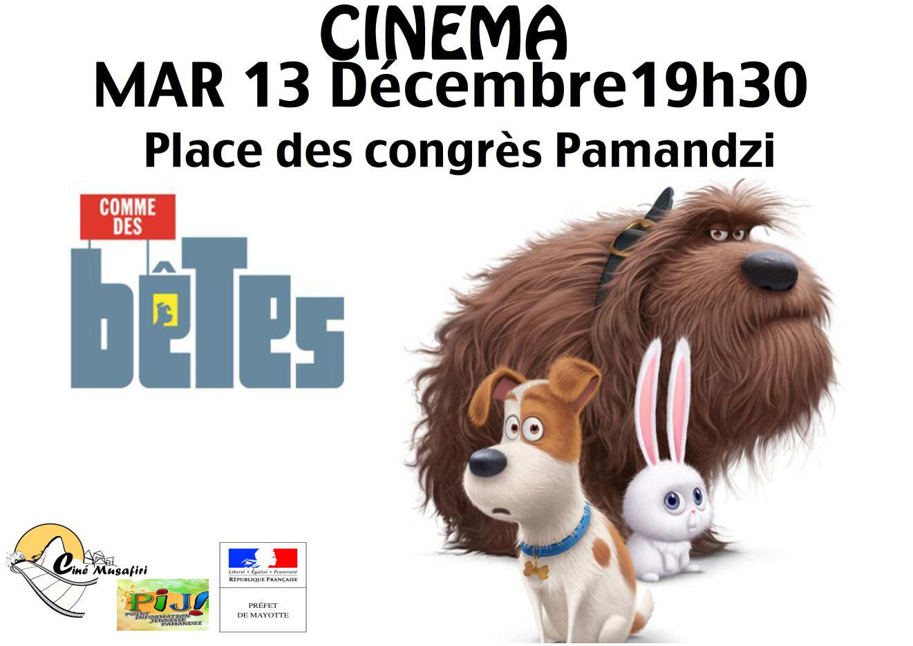 Ciné Musafiri : programme cinéma