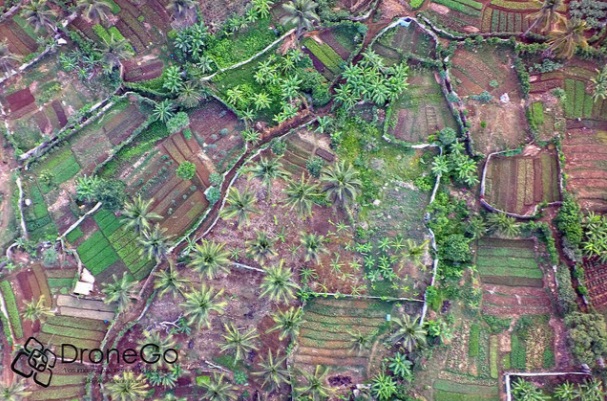 Agriculture: Comment candidater aux fonds européens? Une réunion d’information prévue prochainement