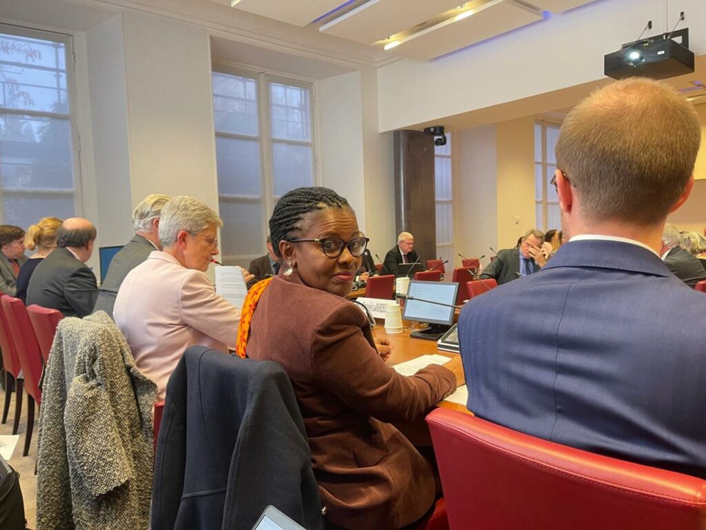 anchya bamana commission affaires sociales