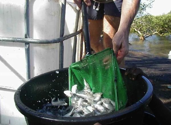 Aquamay : le compte à rebours est lancé