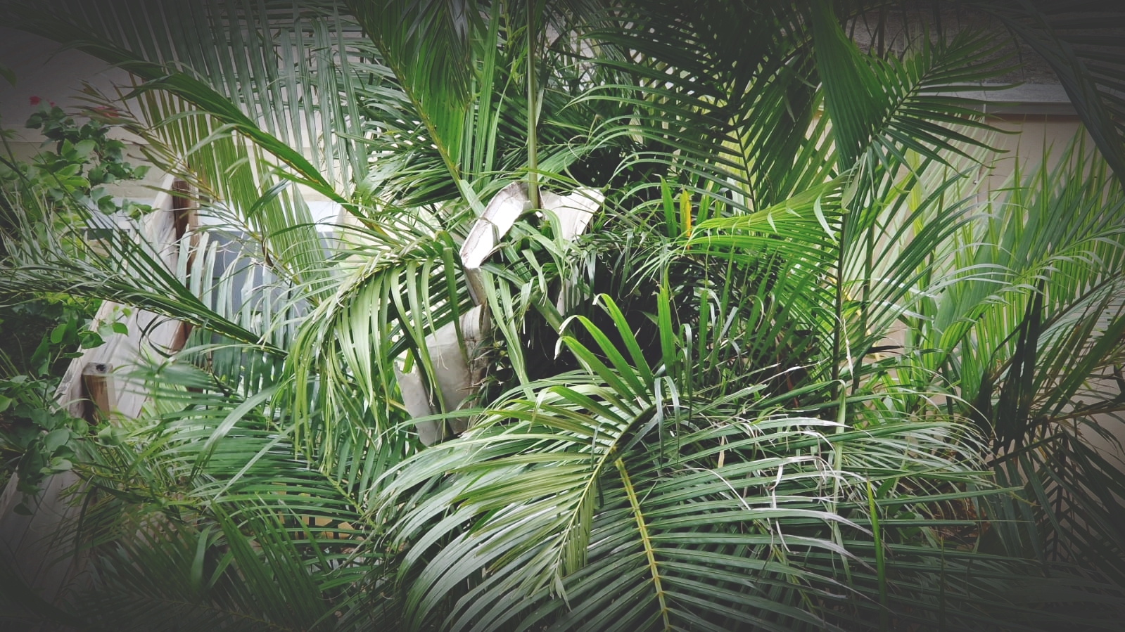Des pluies intenses, mais pas de dégâts majeurs