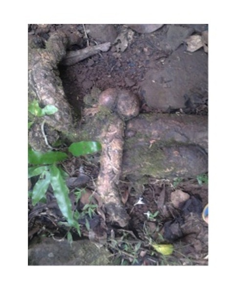 Les beautés de Dame Nature