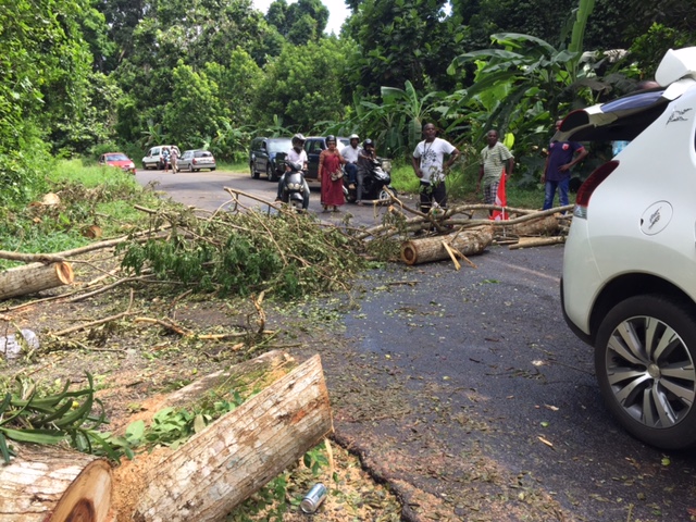 Grève générale : l’hécatombe continue