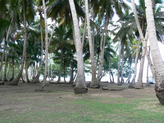 Bandrélé : Interdiction de construction illégale de bangas sur les sites touristiques