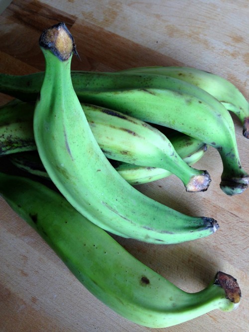 Destruction de denrées impropres à la consommation