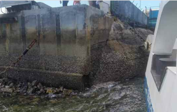 Safari Djema fait des siennes