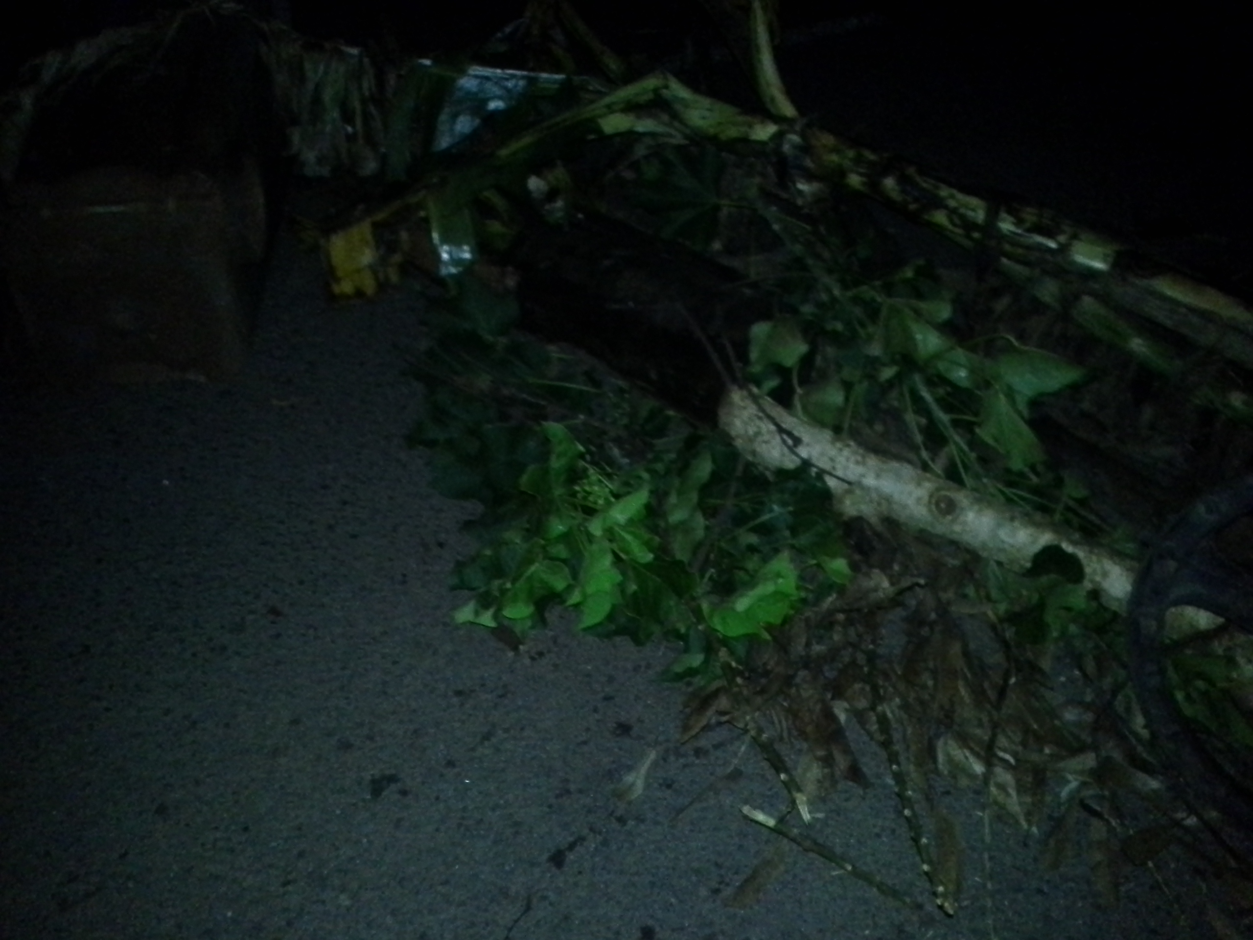 Barrages relevés aux quatre coins de l’île