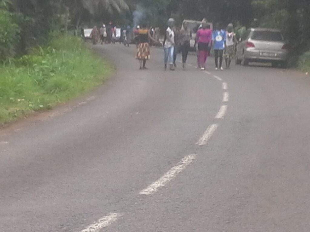 barragesauvagebandrele