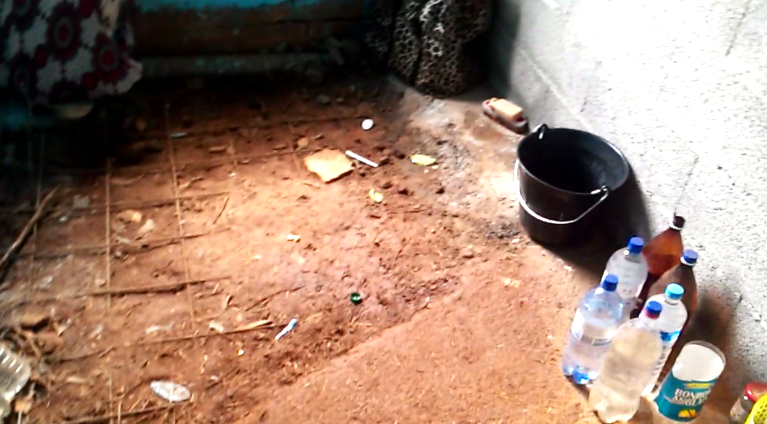 La réalité du Bengali (vidéo)