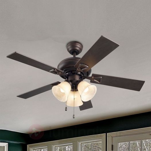 Des brasseurs d’air à 1 euro pour les habitants de M’tsamboro