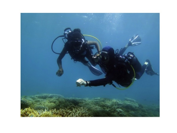 Bilan positif pour l’opération “premières bulles au pays du corail”