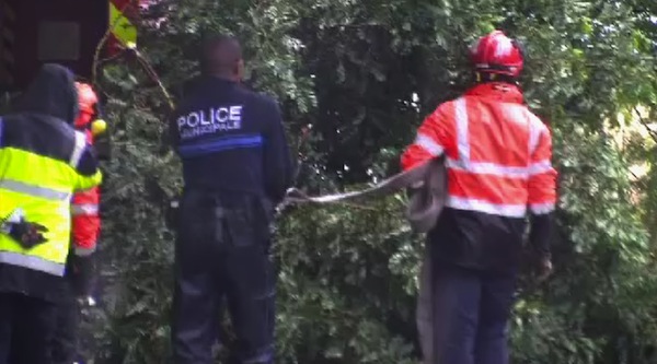 Un câble EDM emporté à la Convalescence (vidéo)