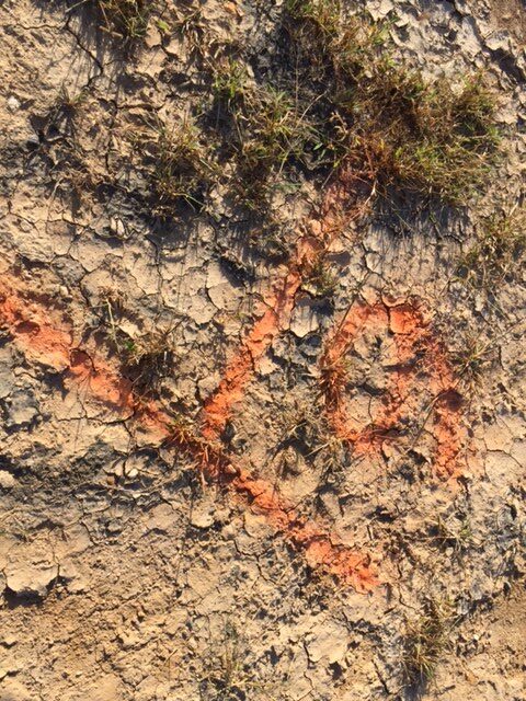 Décision prise : un campement sur le terre-plein de M’tsapéré