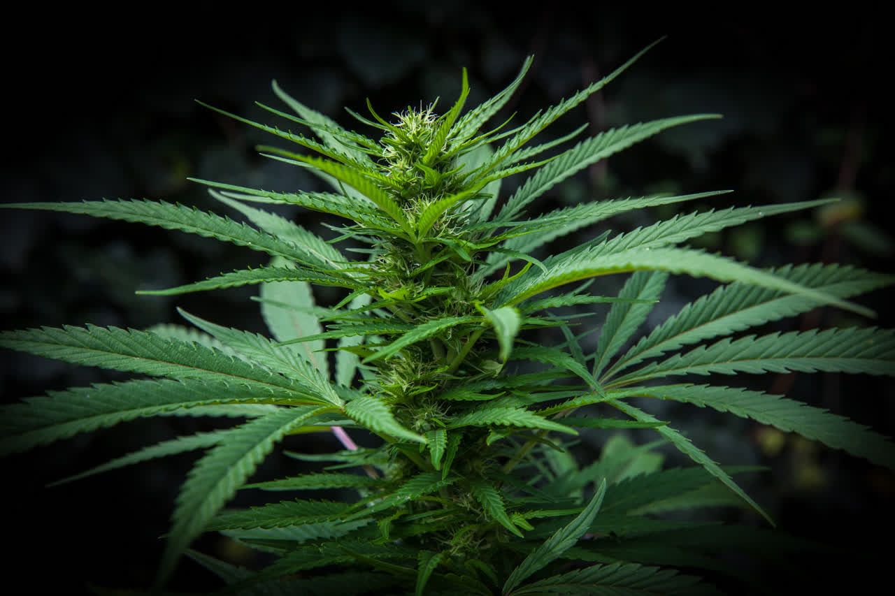 Une grosse quantité de drogue saisie à Mayotte sur une enquête réunionnaise