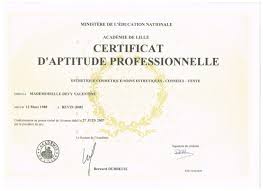 Résultats examens 2017 : les filières CAP/BEP en réussite