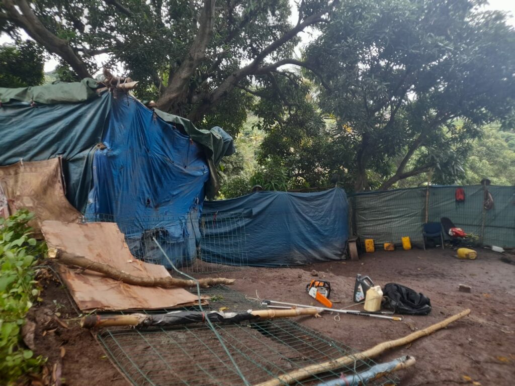 capture chiens elevage illegal convalescence