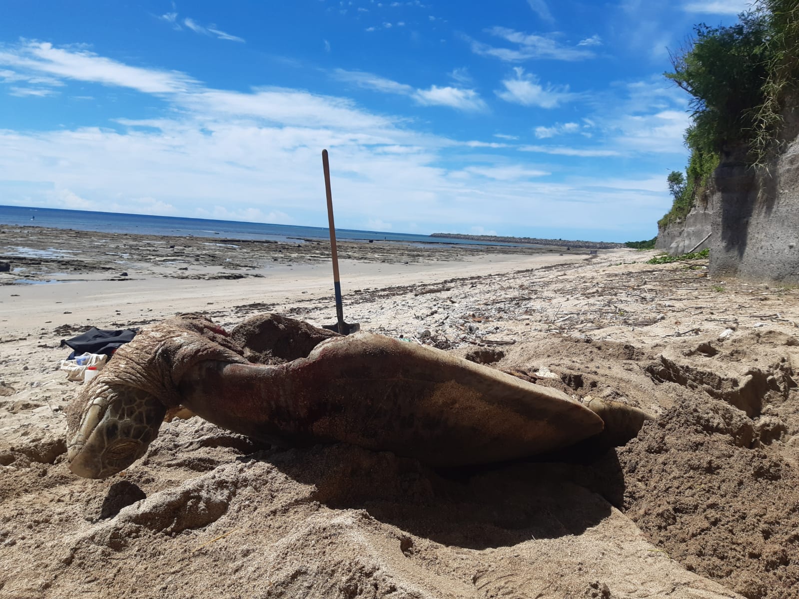 Le REMMAT revient sur ses actions et remercie ses partenaires