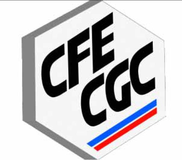 Enquête ouverte suite à la plainte déposée contre le président de la CFE-CGC