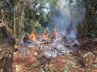 Charbonnage illégal, 41 000€ partis en fumée