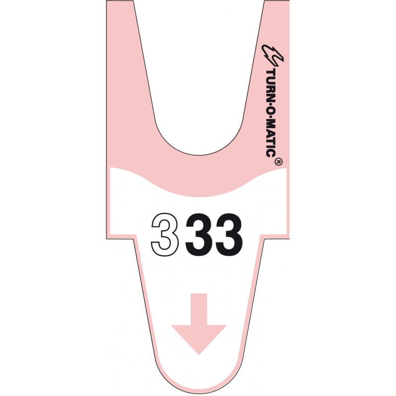 Un étrange manège complètement illégal