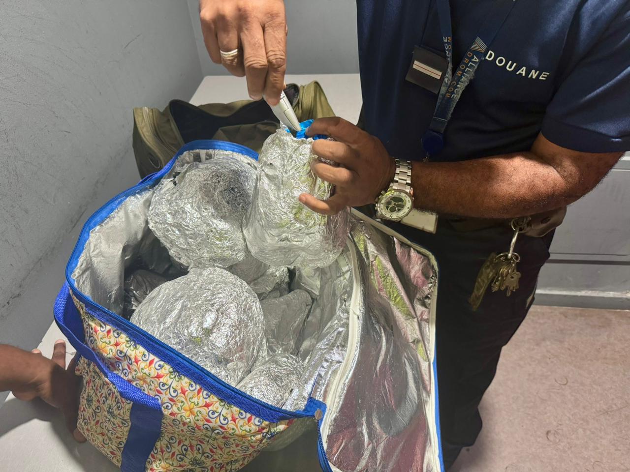 Saisie de requin et de plantes interdites à l’aéroport