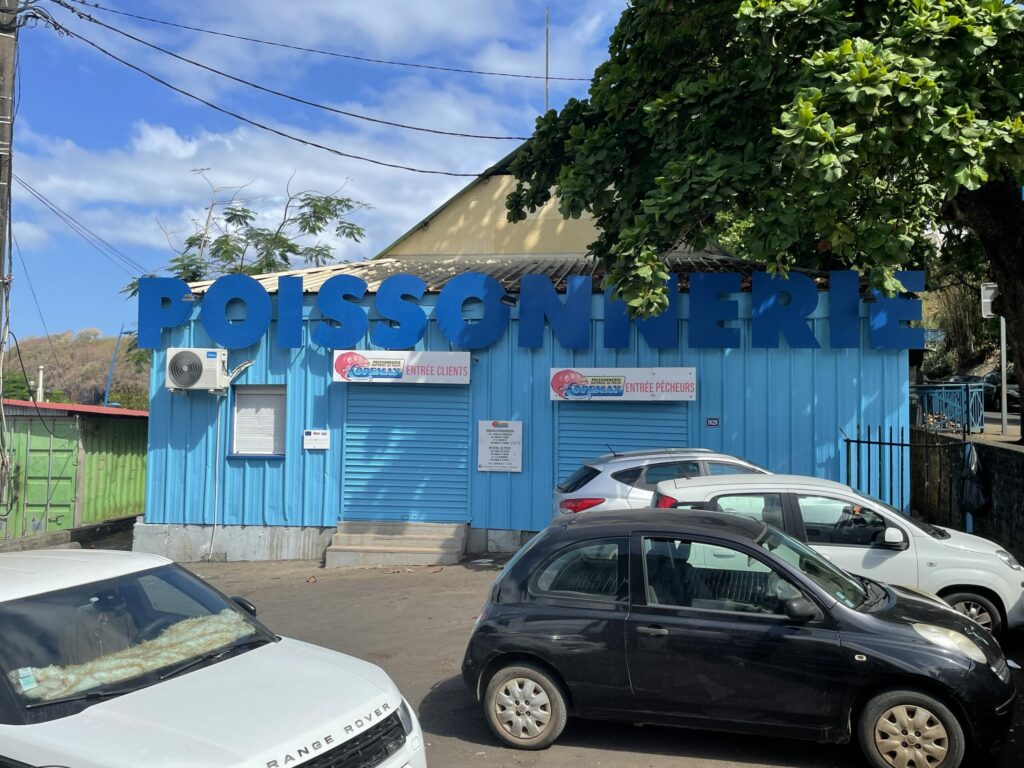 copemay. IMG 1156 scaled 1