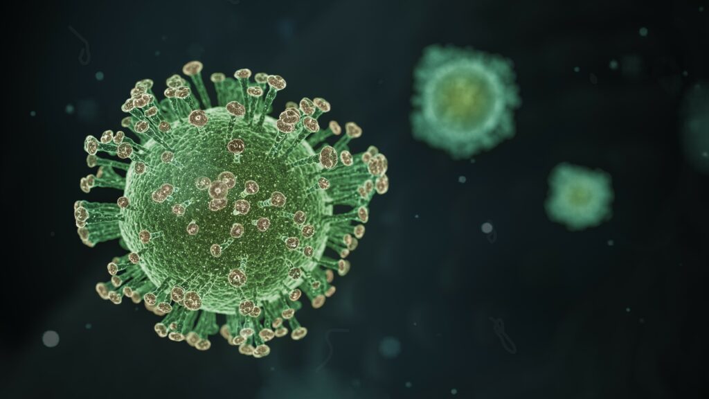 coronavirus 12