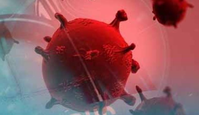 Mayotte se prépare à faire face à la propagation de la maladie Coronavirus