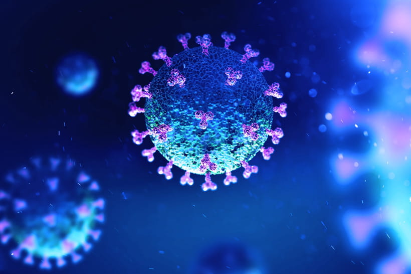 Situation sanitaire : le Préfet rencontre les forces-vives du département