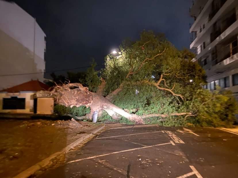 Le cyclone Niran a provoqué de nombreux dégâts en Nouvelle Calédonie pendant que la tempête Iman a généré de nombreux orages à La Réunion
