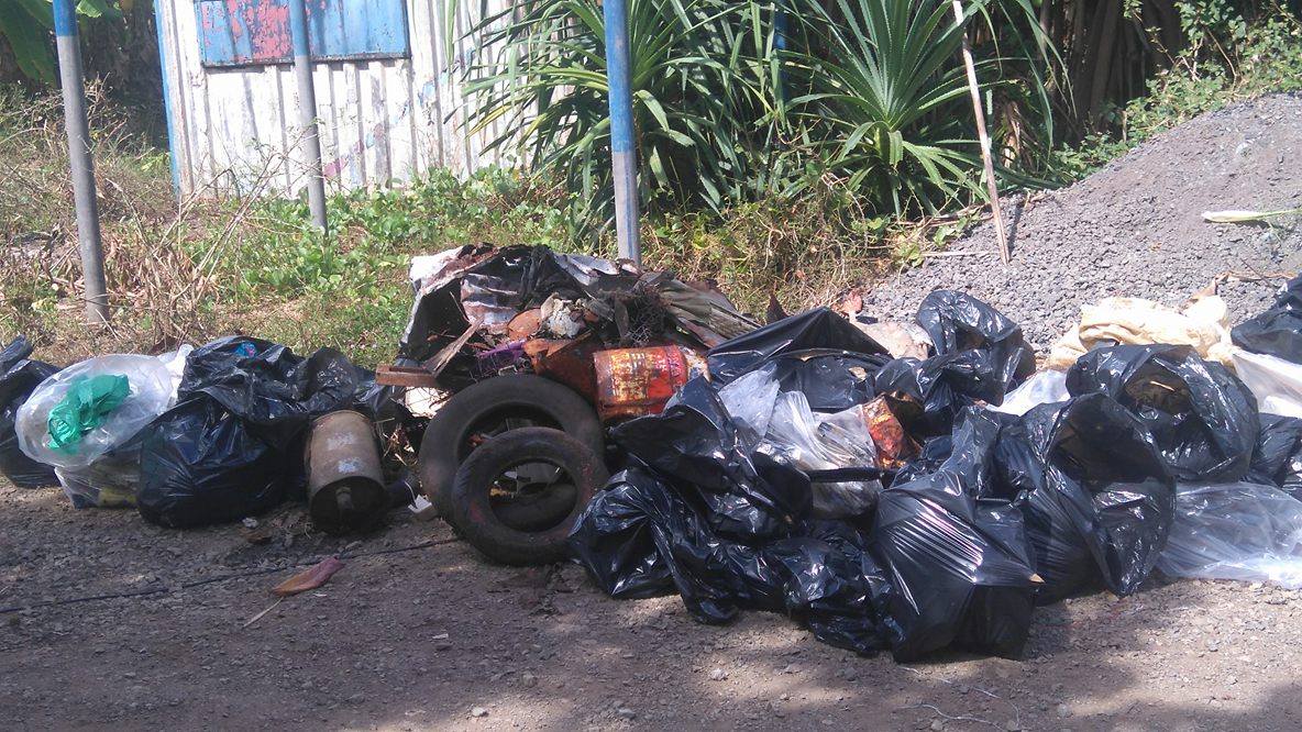 Les enfants de vrais ambassadeurs pour la protection de l’environnement (vidéo)