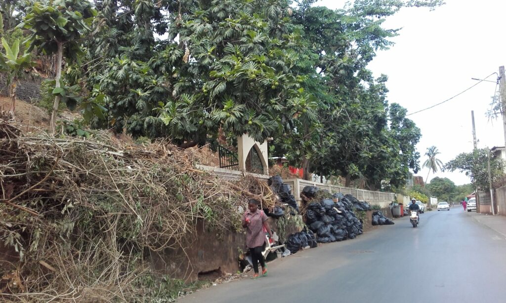 dechets vert mtsapere 3 rotated 1