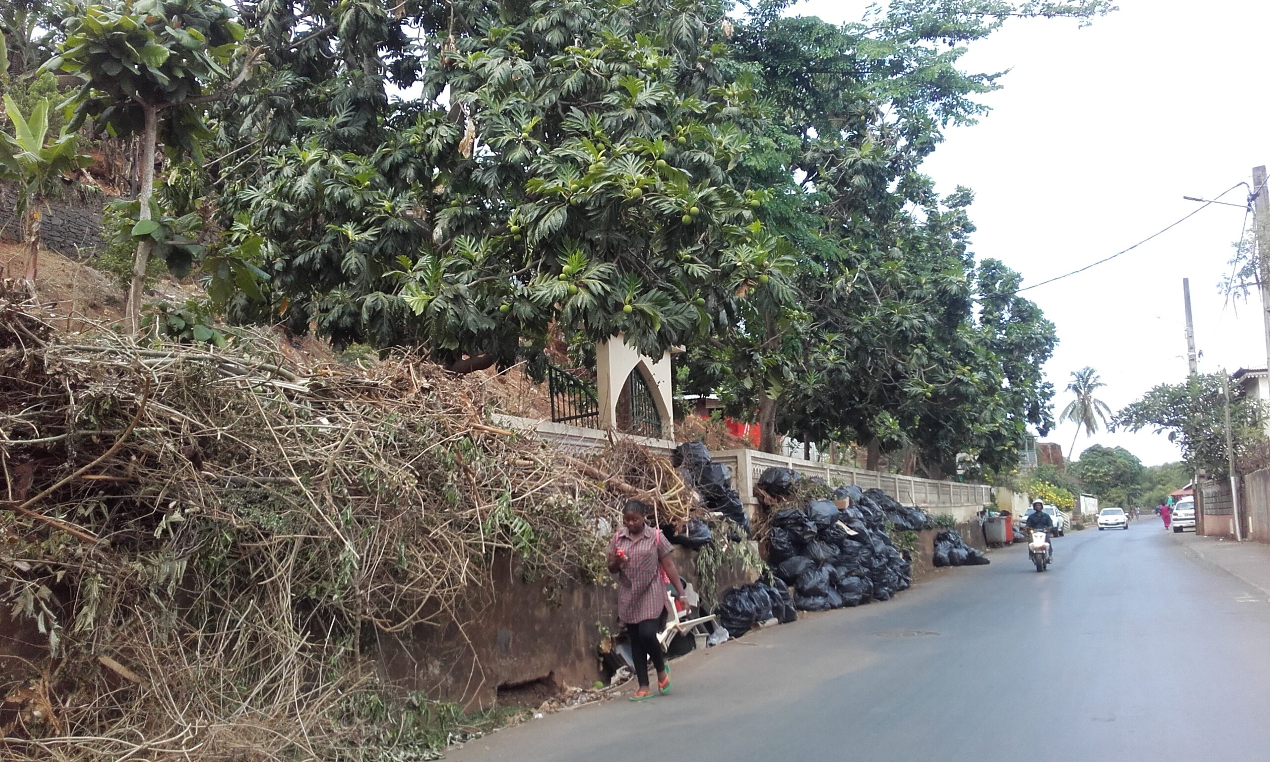 Vous pouvez donner votre avis sur le plan de gestion des déchets de Mayotte