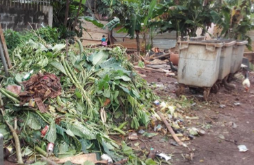 Le SIDEVAM976 s’investit pour la collecte des déchets verts et des encombrants de Mayotte