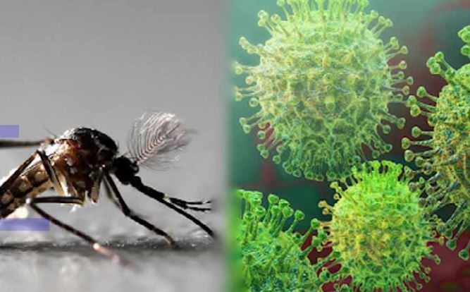 Coronavirus – Dengue : l’octroi de mer est à 20%