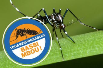 L’épidémie de dengue n’est pas endiguée, la maladie continue de se développer