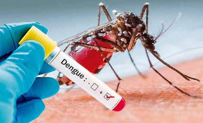Mayotte n’en a pas fini non plus avec la dengue