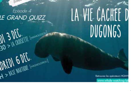 Des soirées ludiques pour sensibiliser les usagers du lagon sur les dugongs