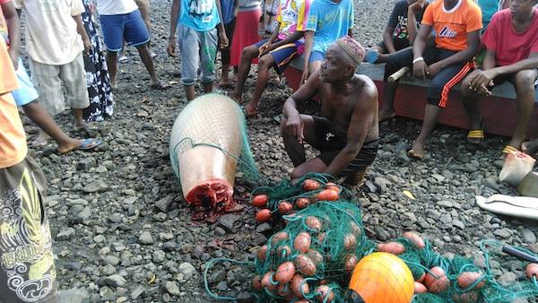 3 mois ferme pour le pêcheur du dugong