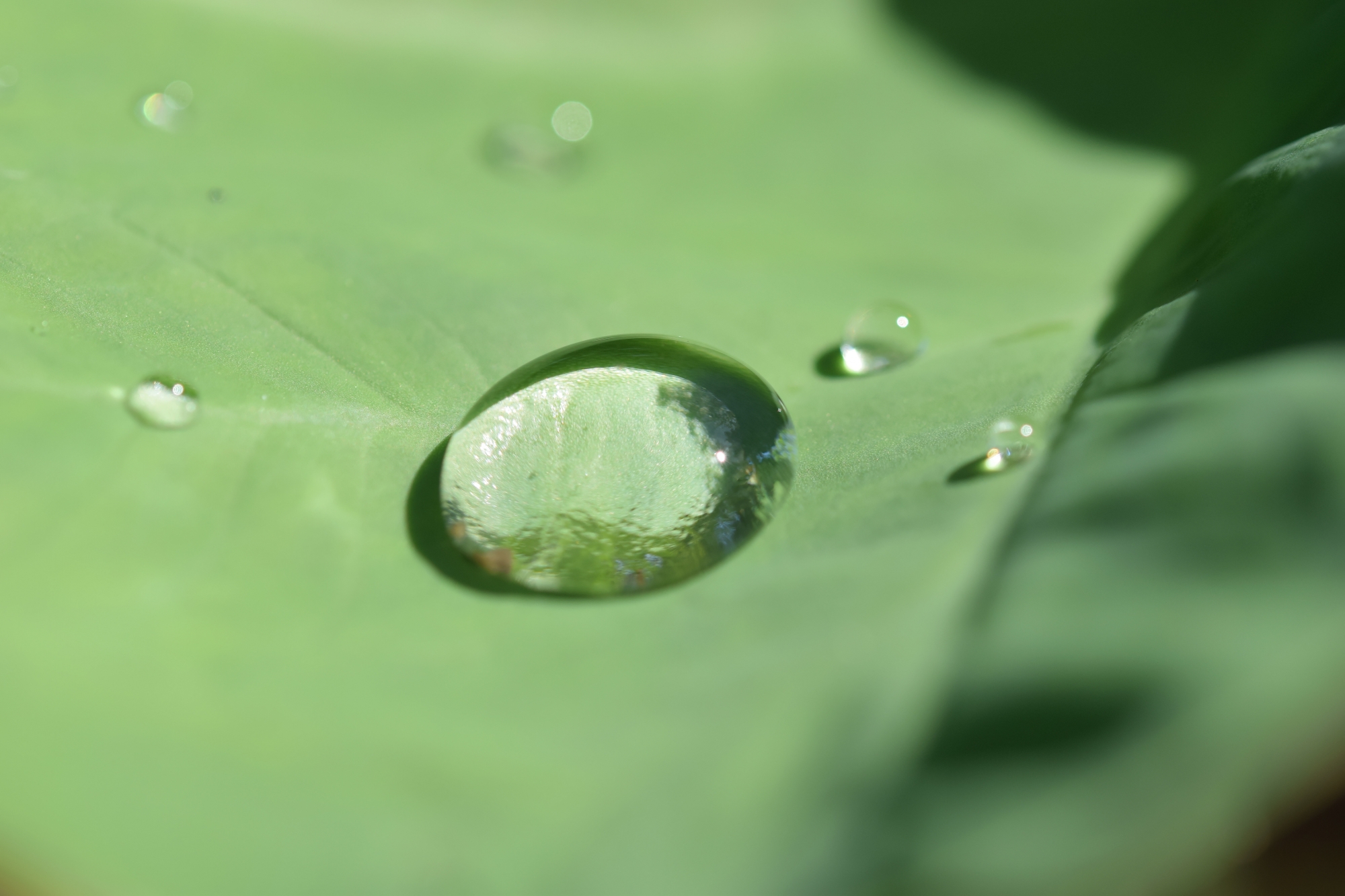 La Préfecture commence à parler de restrictions des usages en eau