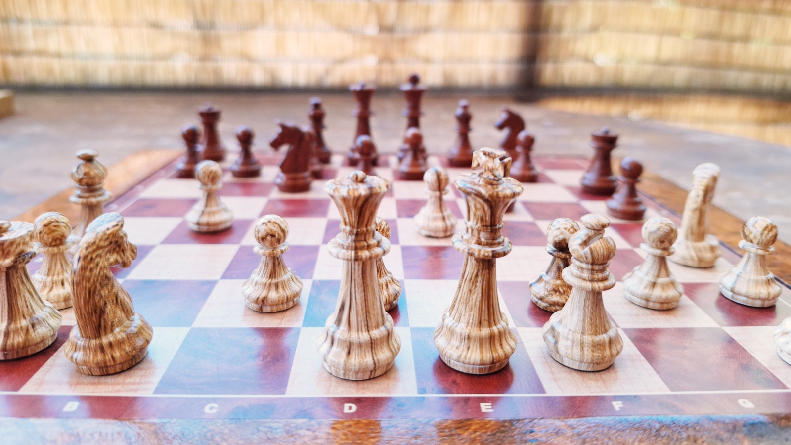 Un tournoi d’échecs et trois jours d’initiation à Cavani