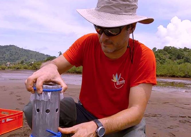 Mieux  comprendre  les  phénomènes  naturels  à  l’œuvre pour protéger le patrimoine naturel