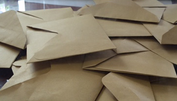 Des électeurs timides à Majicavo 1