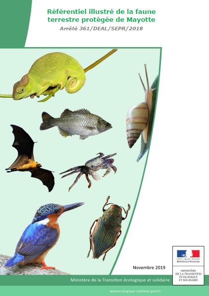 La DEAL de Mayotte vient de publier une mise à jour de son référentiel des espèces protégées