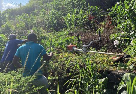La FMAE organise une sortie nature sur la colline de Mdumbaju à Moinatrindri