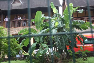 Lycée Bamana : elle essaye de jeter sa prof par la fenêtre du 3ème étage