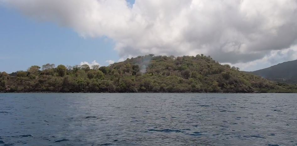 Les feux agricoles : un drame environnemental d’actualité (video)