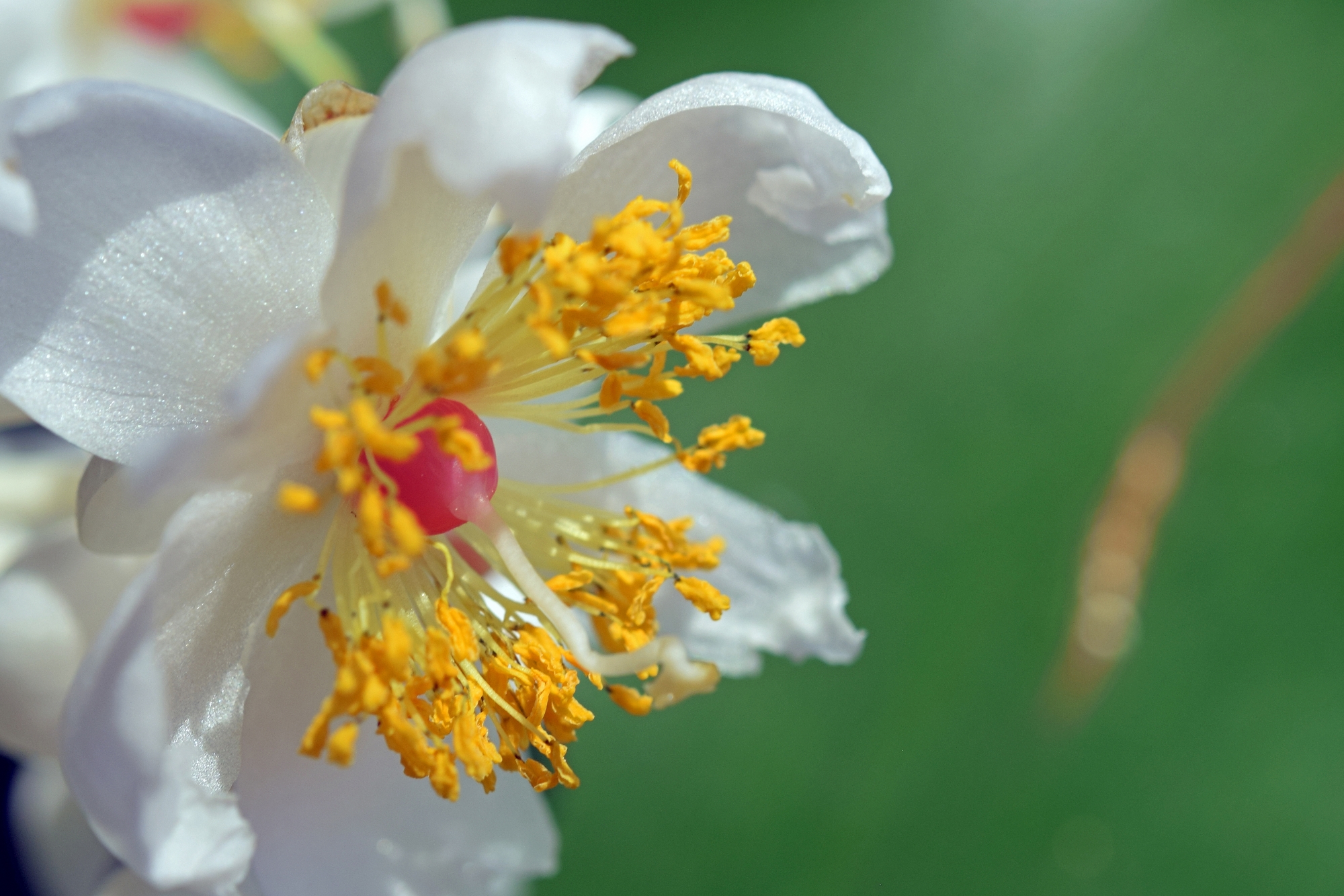 La CCSud met en place une Police environnementale