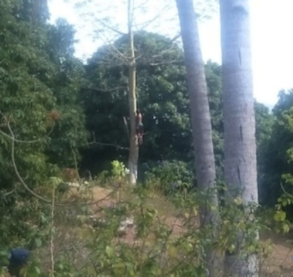 Sombre découverte en forêt de Ouangani