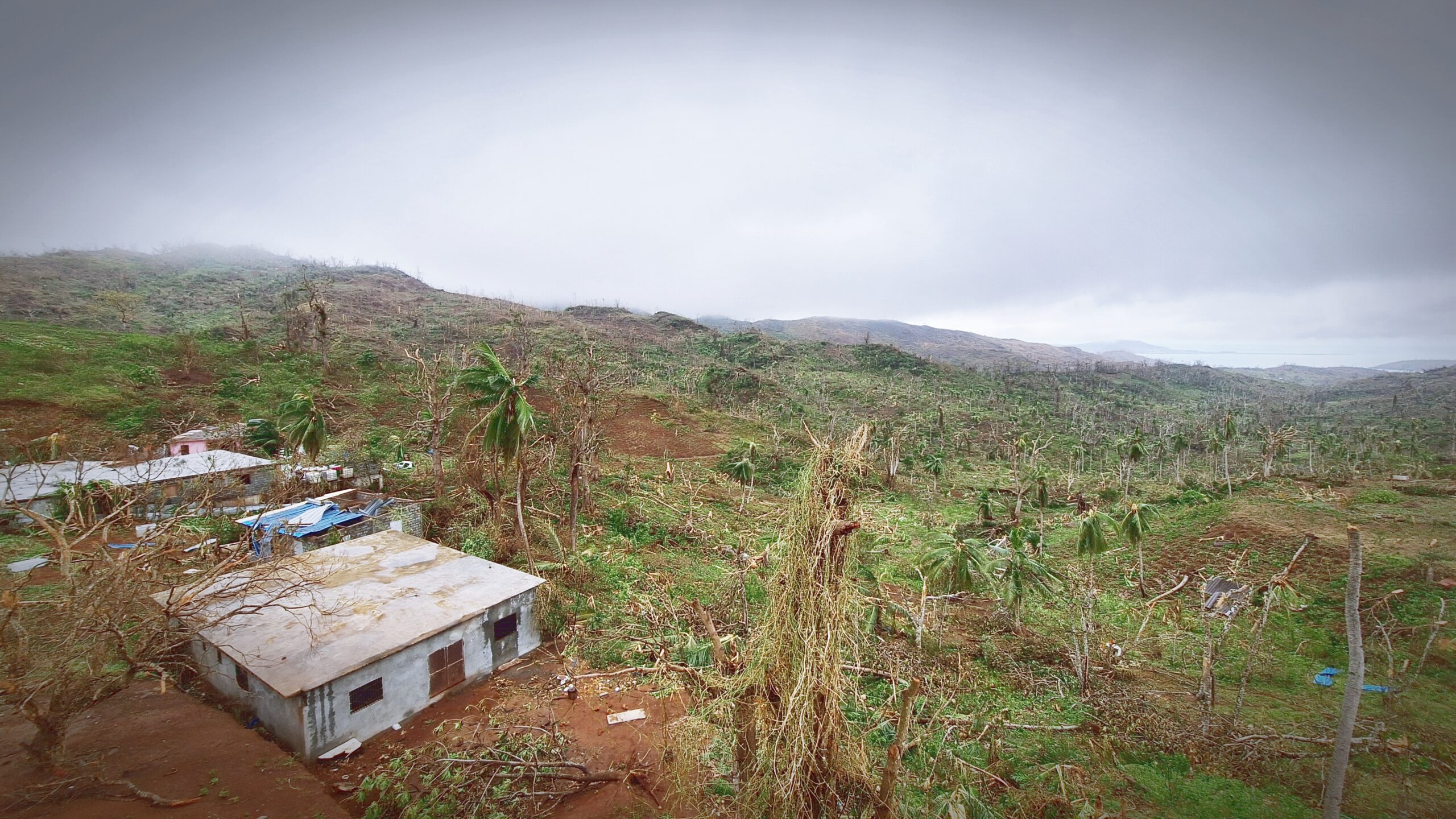 Une méthode de reboisement inspirée d’un parachutiste brésilien pourrait restaurer des forêts mises à mal à Mayotte
